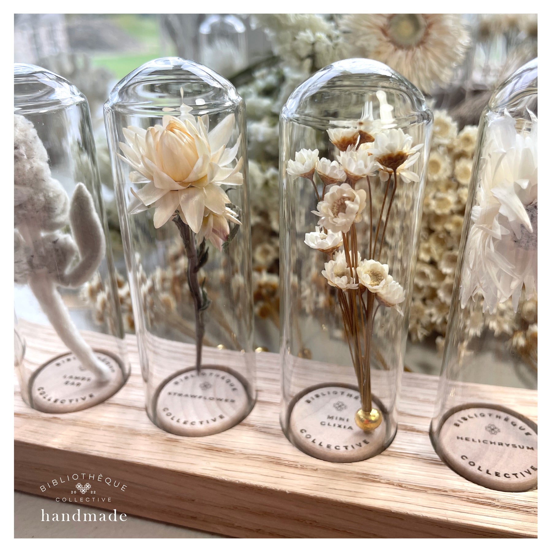 Dried Florals  Terrarium Therapy