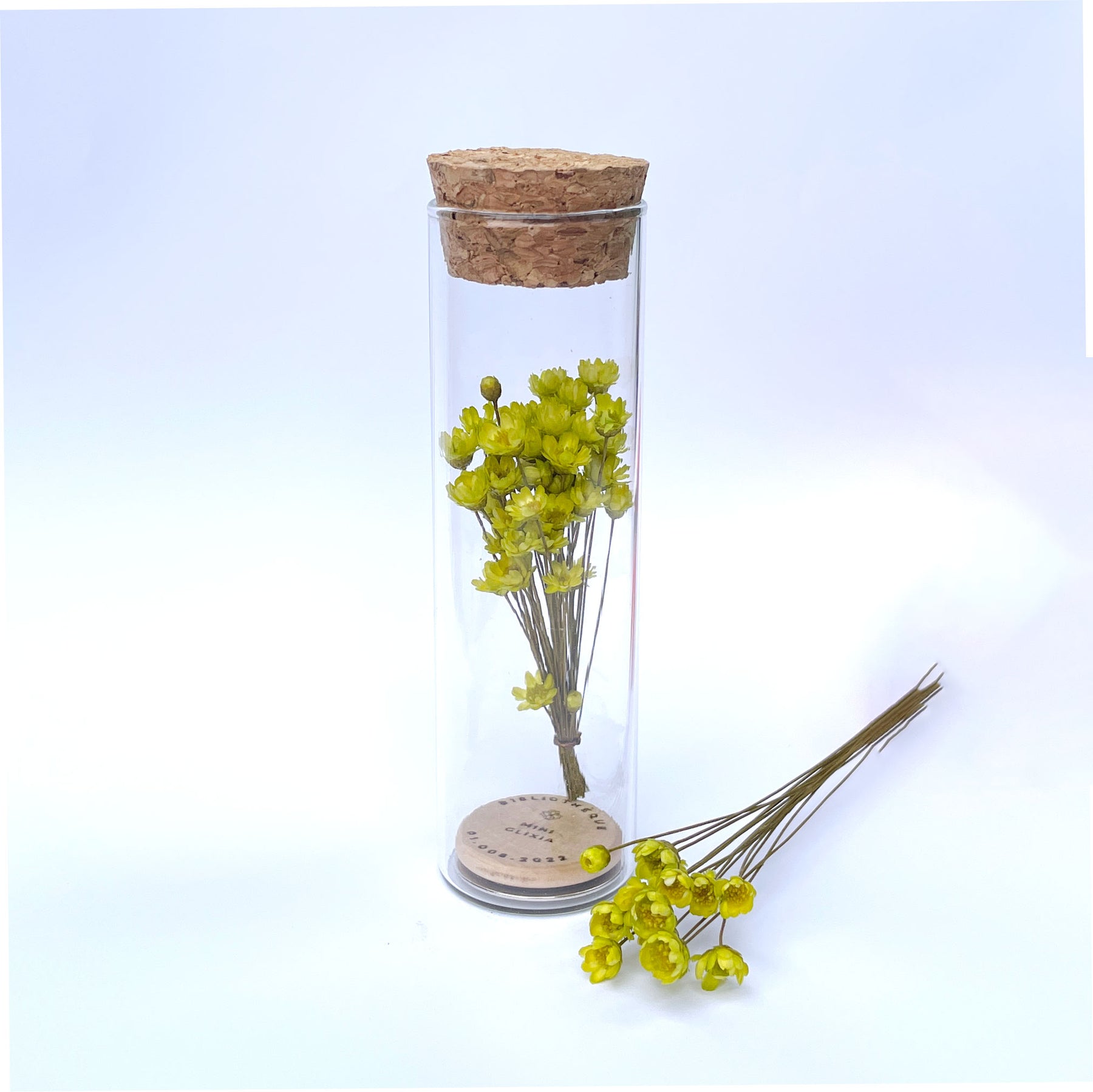 5 Wallflowers Bundle – Bibliotheque Collective