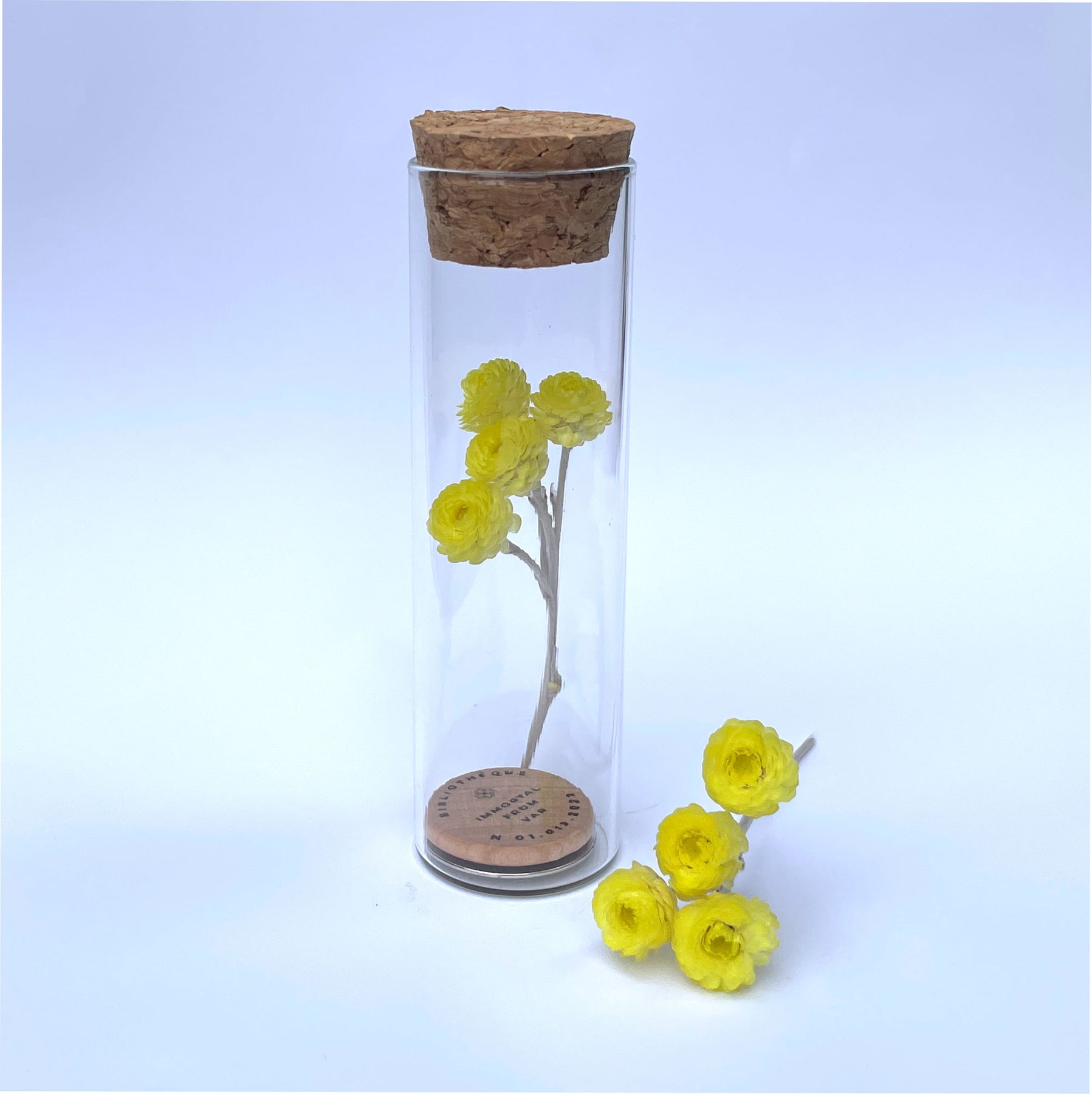 5 Wallflowers Bundle – Bibliotheque Collective